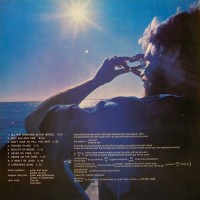 Bruce-Cockburn-Salt-In-Lft